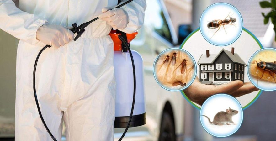 Günyüzü Böcek İlaçlama