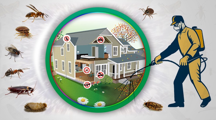 Günyüzü Böcek İlaçlama