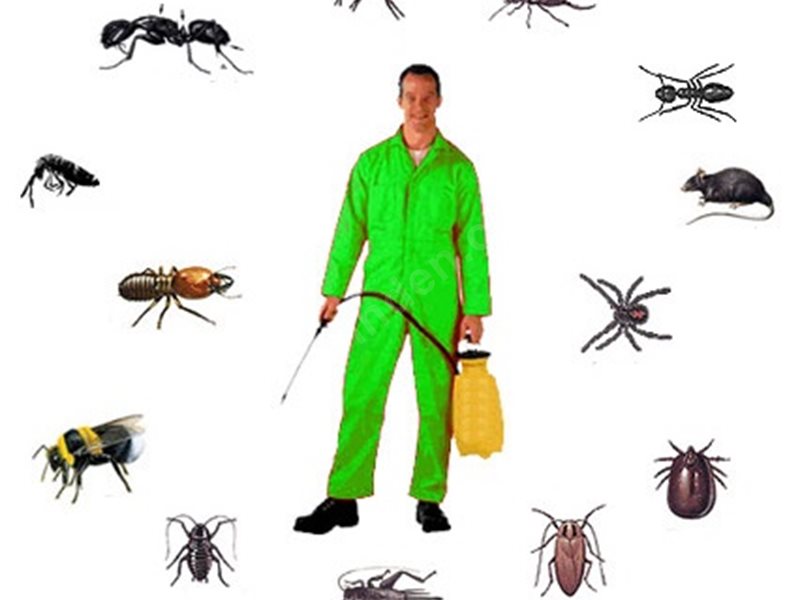 Günyüzü Böcek İlaçlama